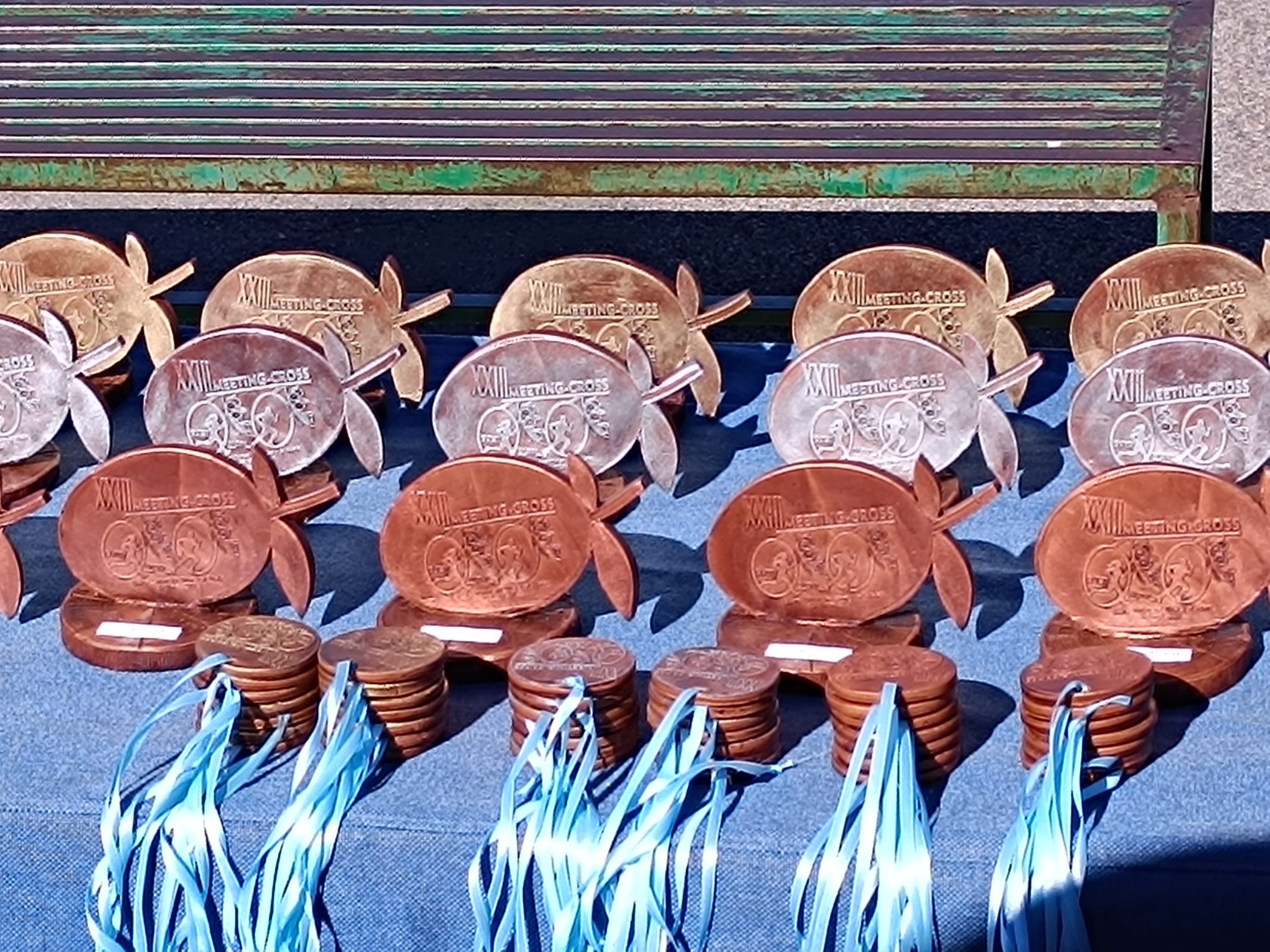 trofeo medalla barro